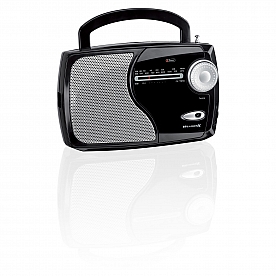 Digital Products International Radio WR282B