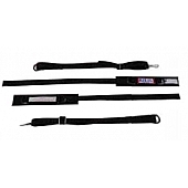 RJS Racing Racing Arm Restraint 11000301