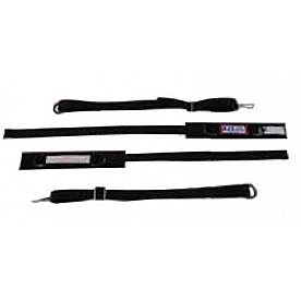 RJS Racing Racing Arm Restraint 11000301