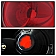 Xtune Tail Light Assembly 9038044