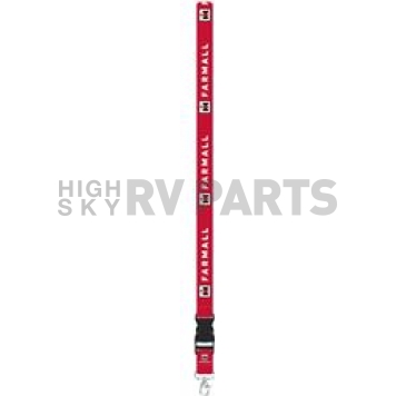 Plasticolor Lanyard 004443R01