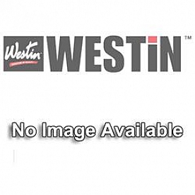 Westin Automotive License Plate Light 00007292
