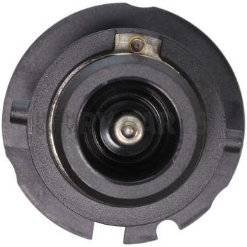 Wagner Lighting Headlight Bulb Single - D2R-2