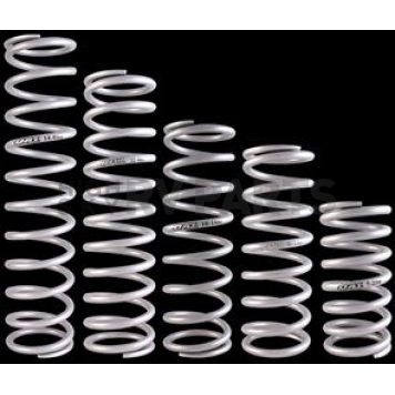 QA1 Coil Over Shock Absorber Spring - 10HTSP350