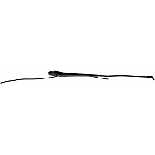 Help! By Dorman WindShield Wiper Arm 25 Inch Black Single - 42554