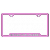 Automotive Gold License Plate Frame - Silver Stainless Steel - GFESAEP