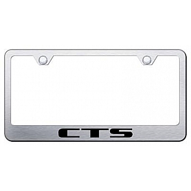 Automotive Gold License Plate Frame - Silver Stainless Steel - LFCTSES