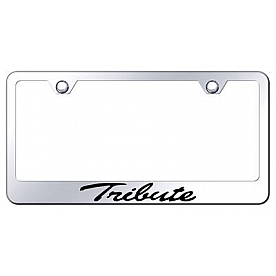 Automotive Gold License Plate Frame - Silver Stainless Steel - LFSTRIEC