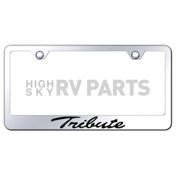 Automotive Gold License Plate Frame - Silver Stainless Steel - LFSTRIEC