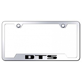 Automotive Gold License Plate Frame - Silver Stainless Steel - GFDTSEC