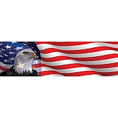 Vantage Point Window Graphics - Eagle Head On American Flag Design - 010058L
