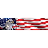 Vantage Point Window Graphics - Eagle Head On American Flag - 010058S