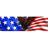 Vantage Point Window Graphics - Patriot Eagle Flight - 010076C