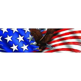 Vantage Point Window Graphics - Patriot Eagle Flight - 010076C
