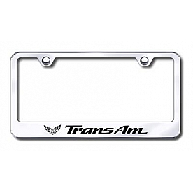 Automotive Gold License Plate Frame - Silver Stainless Steel - LFTRAEC