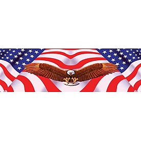 Vantage Point Window Graphics - American Spirit Eagle - 010004M