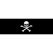 Vantage Point Window Graphics - Jolly Roger Flag Design - 010023L