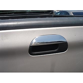 TFP (International Trim) Tailgate Handle Cover - Stainless Steel Silver - 620L