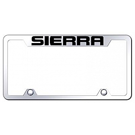 Automotive Gold License Plate Frame - Silver Stainless Steel - TFSRREC