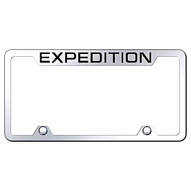 Automotive Gold License Plate Frame - Silver Stainless Steel - TFXPDEC