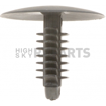 Dorman (OE Solutions) Molding Clip - Nylon Set Of 2 - 45810-1