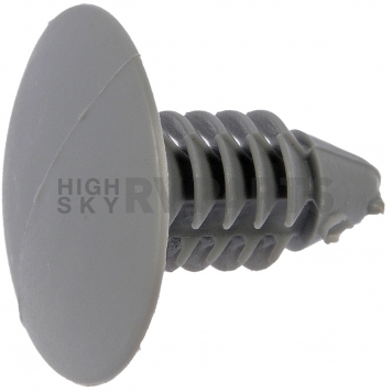 Dorman (OE Solutions) Molding Clip - Nylon Set Of 2 - 45479