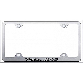 Automotive Gold License Plate Frame - Silver Stainless Steel - LFWMIAES