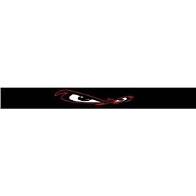 Chroma Graphics Window Graphics - 38 Inch x 5 Inch Mean Eyes Fear This Logo - 3304