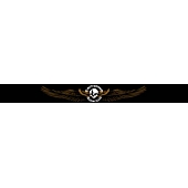 Chroma Graphics Window Graphics - HD Skull With Wings - 3470