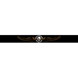 Chroma Graphics Window Graphics - HD Skull With Wings - 3470