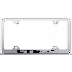 Automotive Gold License Plate Frame - Silver Stainless Steel - LFWCTSVES