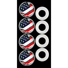 Cruiser License Plate Mounting Hardware 4 Piece Set - 82300