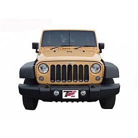 TFP (International Trim) Grille Insert - Mesh Oval ABS Plastic Black Gloss - 68806GIB