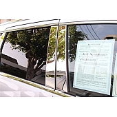 TFP (International Trim) Body Pillar Cover - Polished Stainless Steel Silver Set of 8 - 82413