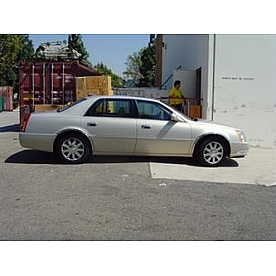 TFP (International Trim) Fender Trim - 3/4 Wheel Well Stainless Steel Polished - CA19