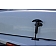 Kentrol Hood Latch Powder Coated Stainless Steel Black Set Of 2 - 50401