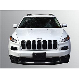 TFP (International Trim) Grille Insert - ABS Plastic Black Gloss - 69386GIB