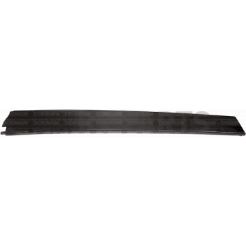 Dorman Door Molding - OEM - 926241-1