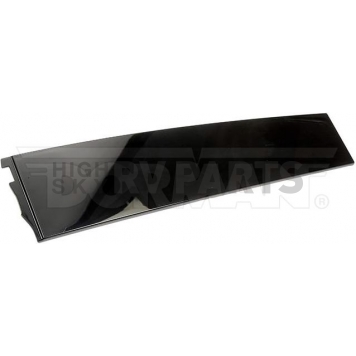 Dorman Door Molding - OEM - 926248