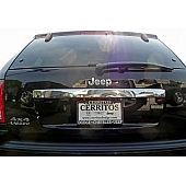 TFP (International Trim) Tailgate Handle Cover - ABS Plastic Silver - 476VT