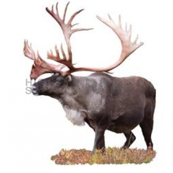 MOSSY OAK Body Graphics - Caribou Broadside View Cutout True Color - 23026C