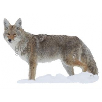 MOSSY OAK Body Graphics - Coyote Side View Cutout True Color - 23028C