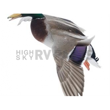 MOSSY OAK Body Graphics - Mallard Landing Wings Down Cutout True Color - 23031C
