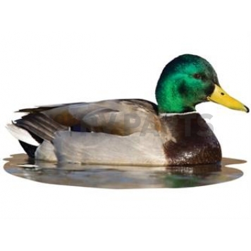 MOSSY OAK Body Graphics - Mallard Drake Sitting In Water Cutout True Color - 23032C