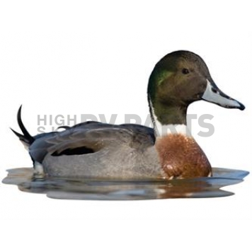 MOSSY OAK Body Graphics - Mallard/ Pintail Mix Sitting In Water Cutout True Color - 23033C