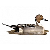 MOSSY OAK Body Graphics - Northern Pintail Sitting In Water Cutout True Color - 23036C