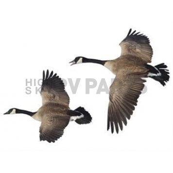 MOSSY OAK Body Graphics - Canada Geese Flying Left Cutout True Color - 23041C