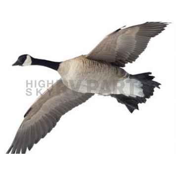MOSSY OAK Body Graphics - Canada Goose Flying Overhead Cutout True Color - 23042C