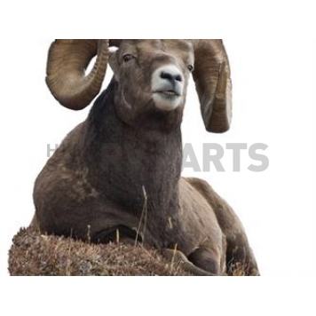 MOSSY OAK Body Graphics - Bedded Big Horn Sheep Cutout True Color - 23052C