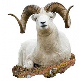 MOSSY OAK Body Graphics - Bedded Dall Sheep Cutout True Color - 23057C